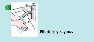 Üriner Sistem Anatomi ş?eması